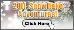Virginia City Car Snowflake Adventure Trips to Reno, Two Dates